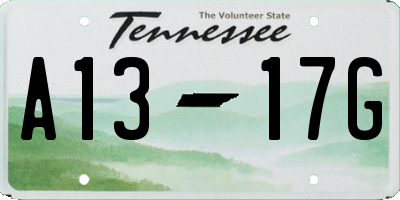 TN license plate A1317G