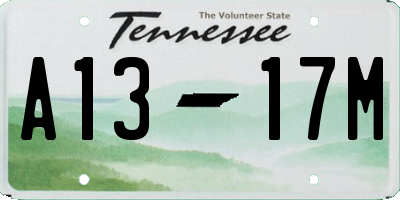 TN license plate A1317M