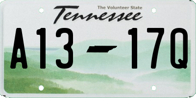 TN license plate A1317Q