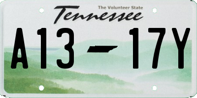 TN license plate A1317Y