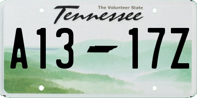 TN license plate A1317Z
