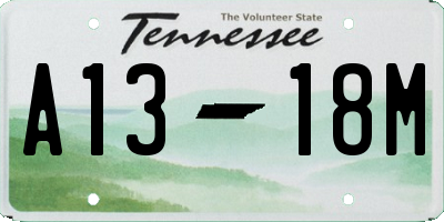 TN license plate A1318M