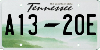 TN license plate A1320E