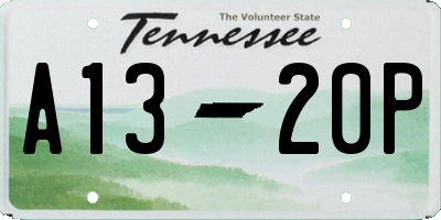TN license plate A1320P
