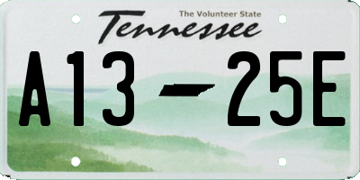 TN license plate A1325E