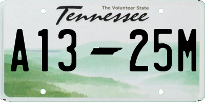 TN license plate A1325M