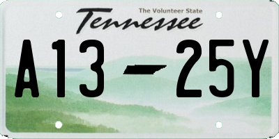 TN license plate A1325Y