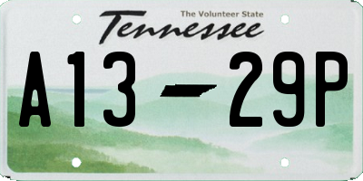 TN license plate A1329P