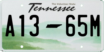 TN license plate A1365M