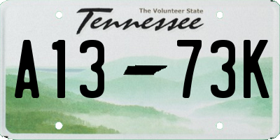 TN license plate A1373K