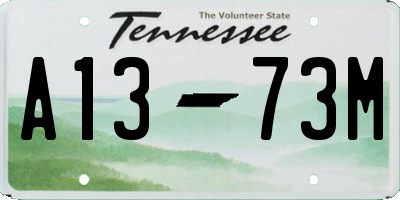 TN license plate A1373M