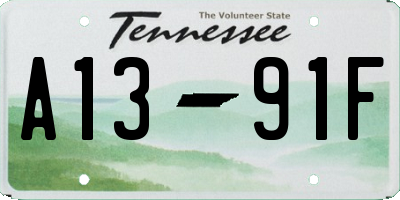 TN license plate A1391F