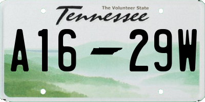 TN license plate A1629W