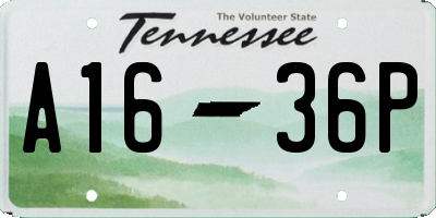 TN license plate A1636P