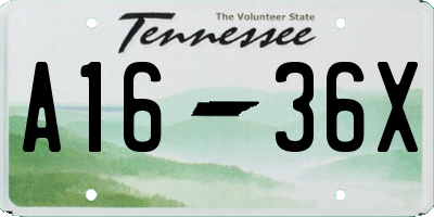 TN license plate A1636X