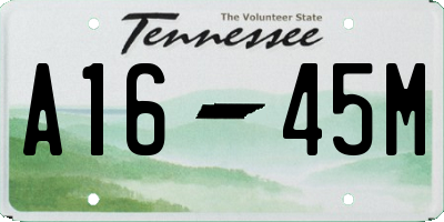 TN license plate A1645M