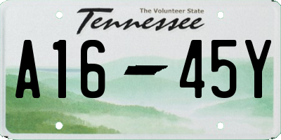 TN license plate A1645Y