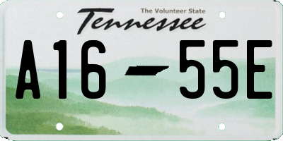 TN license plate A1655E