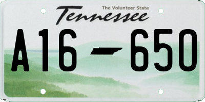 TN license plate A1665O