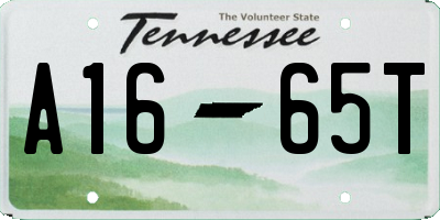 TN license plate A1665T