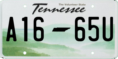 TN license plate A1665U