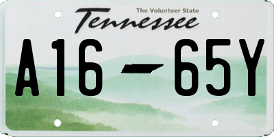 TN license plate A1665Y