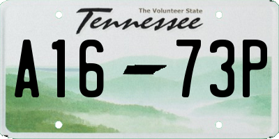 TN license plate A1673P