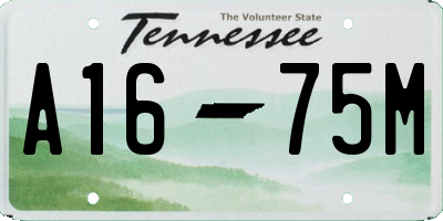 TN license plate A1675M