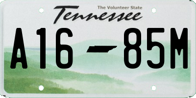 TN license plate A1685M