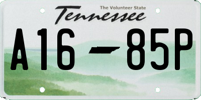 TN license plate A1685P