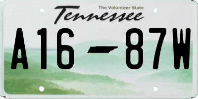TN license plate A1687W
