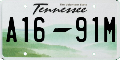 TN license plate A1691M