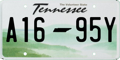 TN license plate A1695Y