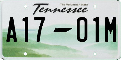 TN license plate A1701M