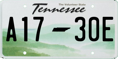 TN license plate A1730E