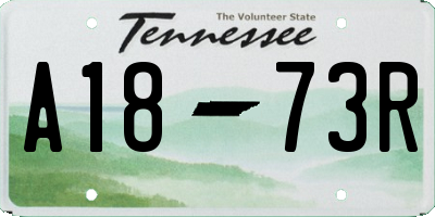 TN license plate A1873R