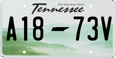 TN license plate A1873V