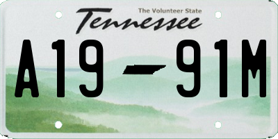 TN license plate A1991M