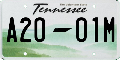 TN license plate A2001M