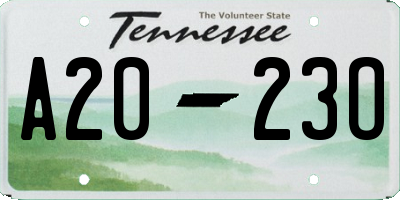 TN license plate A2023O