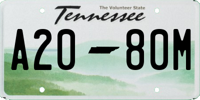 TN license plate A2080M