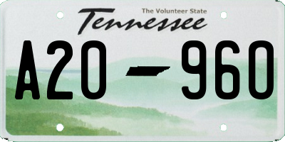 TN license plate A2096O