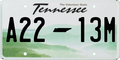 TN license plate A2213M