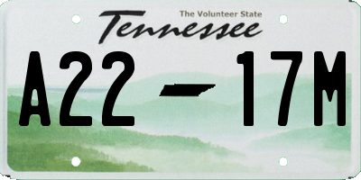 TN license plate A2217M