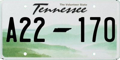 TN license plate A2217O
