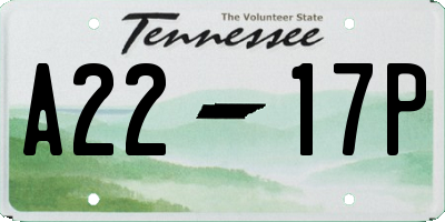 TN license plate A2217P