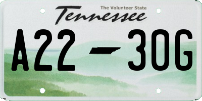 TN license plate A2230G