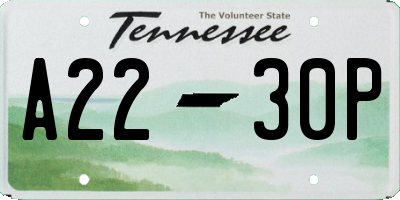 TN license plate A2230P