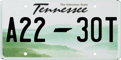 TN license plate A2230T