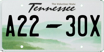 TN license plate A2230X